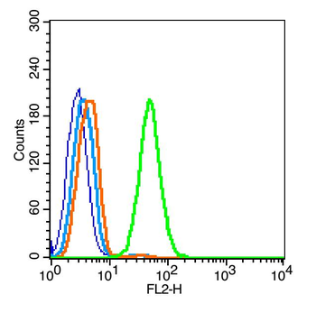 Lipoprotein lipase Rabbit Polyclonal Antibody