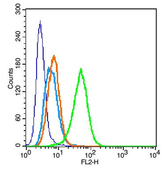 CD11a Rabbit Polyclonal Antibody