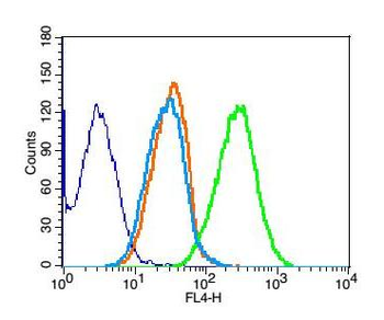 GLUR2 Rabbit Polyclonal Antibody