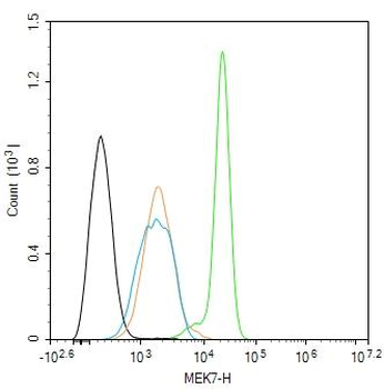 MEK7 Rabbit Polyclonal Antibody