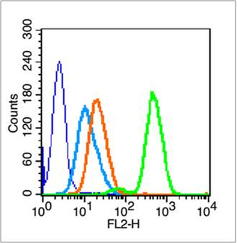 PARP1 Rabbit Polyclonal Antibody