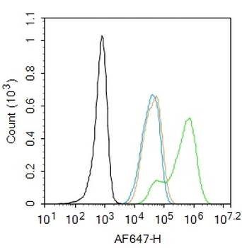 PARP1 Rabbit Polyclonal Antibody