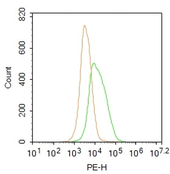 PAX7 Rabbit Polyclonal Antibody