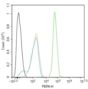 PERK Rabbit Polyclonal Antibody