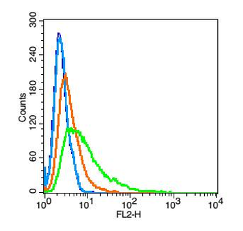 Polycystin 1 Rabbit Polyclonal Antibody