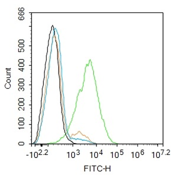 ROS1 Rabbit Polyclonal Antibody