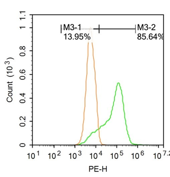 SM22 Alpha Rabbit Polyclonal Antibody