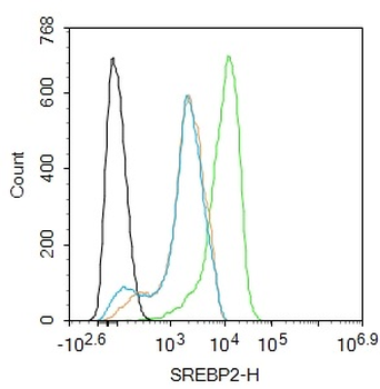 SREBP2 Rabbit Polyclonal Antibody