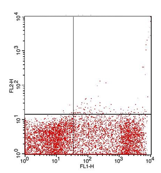 VEGFR3 Rabbit Polyclonal Antibody