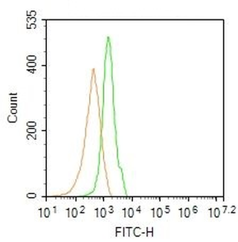 Spastin Rabbit Polyclonal Antibody (FITC)