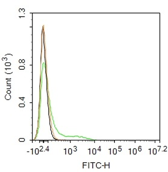 CD11c Rabbit Polyclonal Antibody (FITC)