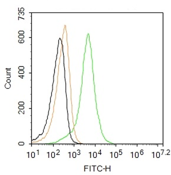 CD11c Rabbit Polyclonal Antibody (FITC)