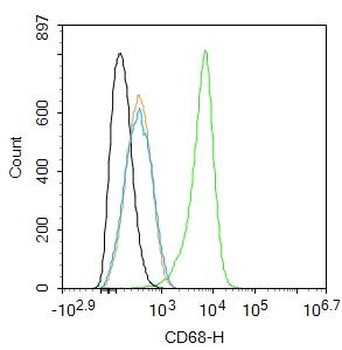 CD68 Rabbit Polyclonal Antibody