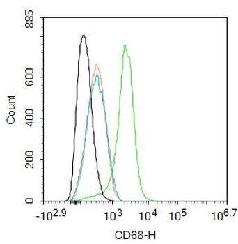 CD68 Rabbit Polyclonal Antibody