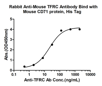 TFRC Rabbit Polyclonal Antibody