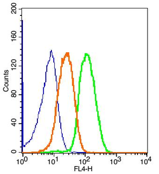 Phospho-PLCG 2 (Tyr1217) Rabbit Polyclonal Antibody