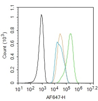 PPAR alpha Rabbit Polyclonal Antibody