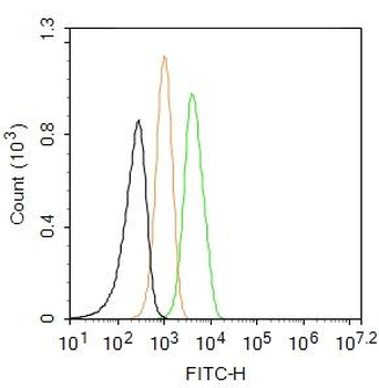 RAGE Rabbit Polyclonal Antibody (FITC)