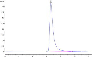 Recombinant human Transferrin R / CD71 protein, N-His-Avi (HEK293)