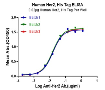 Recombinant human ErbB2 / Her2 protein, C-His-Avi (HEK293)