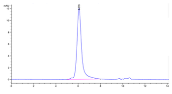 Recombinant human ErbB2 / Her2 protein, C-His-Avi (HEK293)