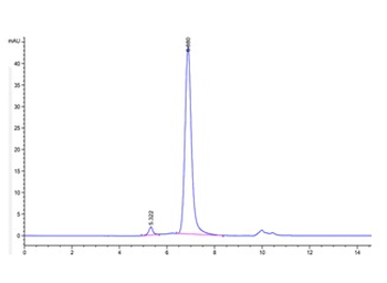Recombinant Cyn. monkey CD122 / IL2RB protein, C-His (HEK293)
