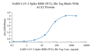 Recombinant SARS-Cov-2 Spike RBD protein, His (HEK293)
