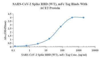 Recombinant SARS-Cov-2 Spike RBD protein, mFc (HEK293)