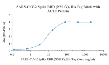 Recombinant SARS-Cov-2 Spike RBD protein (N501Y), His