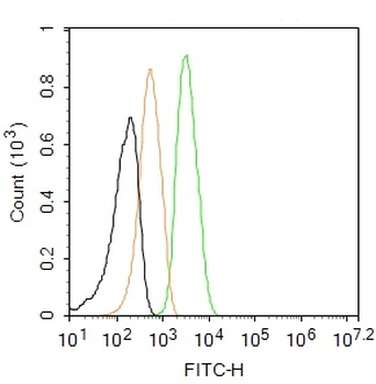 Beclin 1 Rabbit Polyclonal Antibody (FITC)