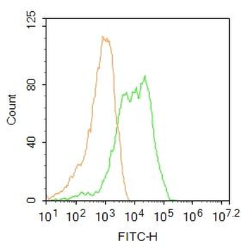 CD90/Thy-1 Rabbit Polyclonal Antibody (FITC)