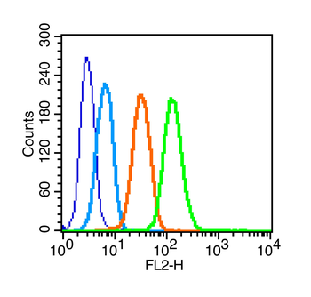 C-Kit Rabbit Polyclonal Antibody
