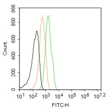 CDK4 Rabbit Polyclonal Antibody (FITC)