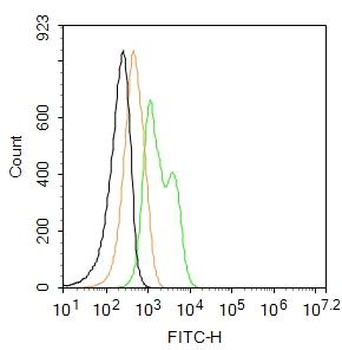 Desmin Rabbit Polyclonal Antibody (FITC)