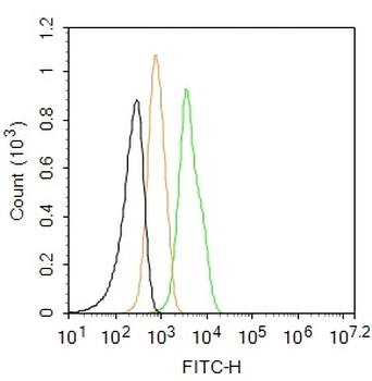 E cadherin Rabbit Polyclonal Antibody (FITC)
