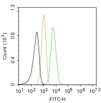 E cadherin Rabbit Polyclonal Antibody (FITC)