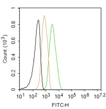 EGF Rabbit Polyclonal Antibody (FITC)