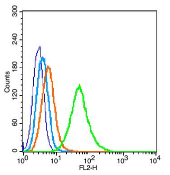 AKT1+2+3 Rabbit Polyclonal Antibody