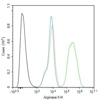 Arginase II Rabbit Polyclonal Antibody