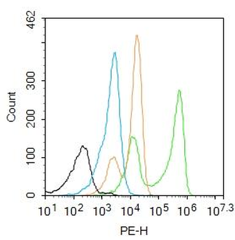ASCL2 Rabbit Polyclonal Antibody