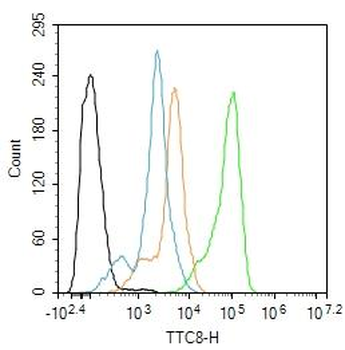 TTC8 Rabbit Polyclonal Antibody