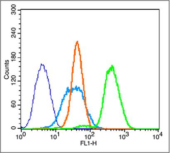 Phospho-Bcl2 (Ser87) Rabbit Polyclonal Antibody