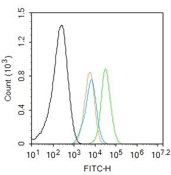 Bcl-2 alpha Rabbit Polyclonal Antibody