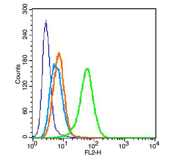 Phospho-ITGB2 (Ser756) Rabbit Polyclonal Antibody