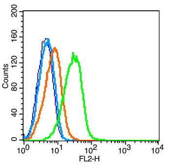 Phospho-ITGB2 (Thr758) Rabbit Polyclonal Antibody