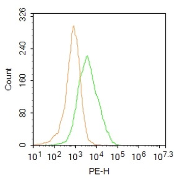 CD66a Rabbit Polyclonal Antibody