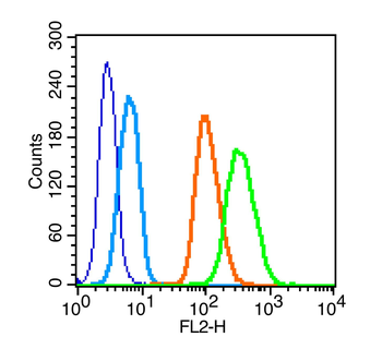 Phospho-c-Kit (Tyr823) Rabbit Polyclonal Antibody