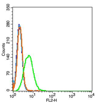 TRAP80 Rabbit Polyclonal Antibody