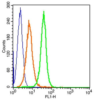 CTLA4 Rabbit Polyclonal Antibody