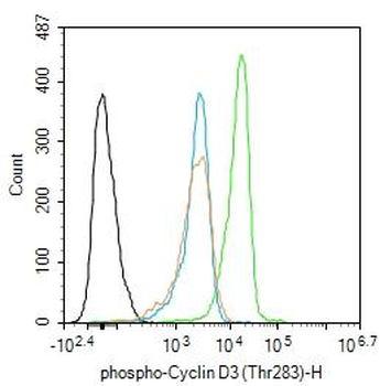 Phospho-Cyclin D3 (Thr283) Rabbit Polyclonal Antibody